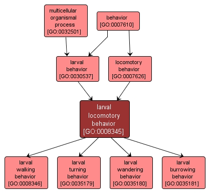 GO:0008345 - larval locomotory behavior (interactive image map)