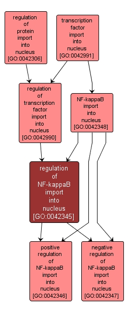 GO:0042345 - regulation of NF-kappaB import into nucleus (interactive image map)