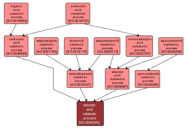 GO:0046345 - abscisic acid catabolic process (interactive image map)