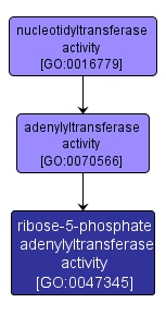 GO:0047345 - ribose-5-phosphate adenylyltransferase activity (interactive image map)