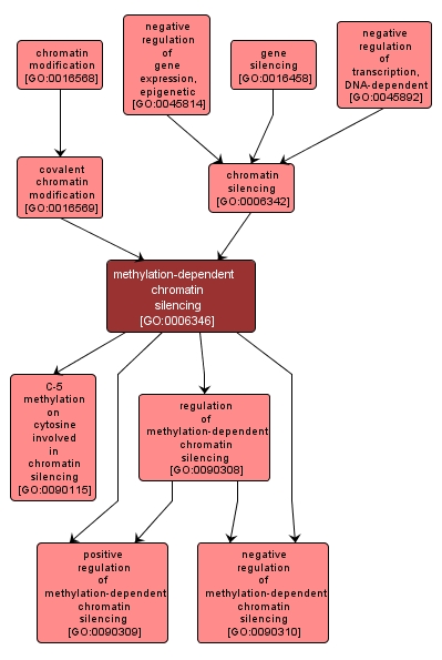 GO:0006346 - methylation-dependent chromatin silencing (interactive image map)