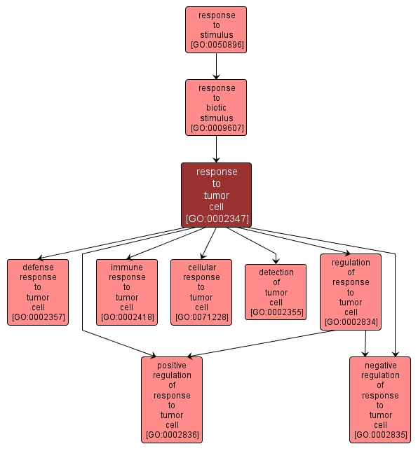 GO:0002347 - response to tumor cell (interactive image map)