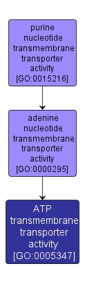 GO:0005347 - ATP transmembrane transporter activity (interactive image map)