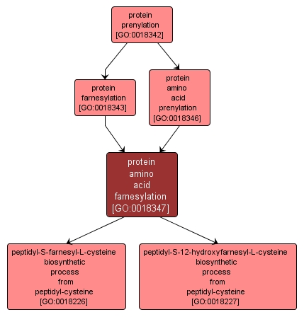 GO:0018347 - protein amino acid farnesylation (interactive image map)