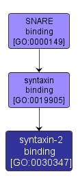 GO:0030347 - syntaxin-2 binding (interactive image map)