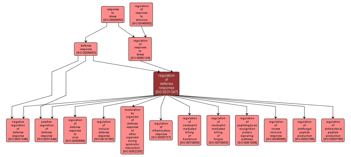 GO:0031347 - regulation of defense response (interactive image map)