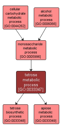 GO:0033347 - tetrose metabolic process (interactive image map)