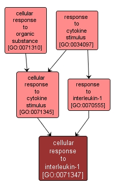 GO:0071347 - cellular response to interleukin-1 (interactive image map)
