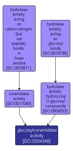 GO:0004348 - glucosylceramidase activity (interactive image map)