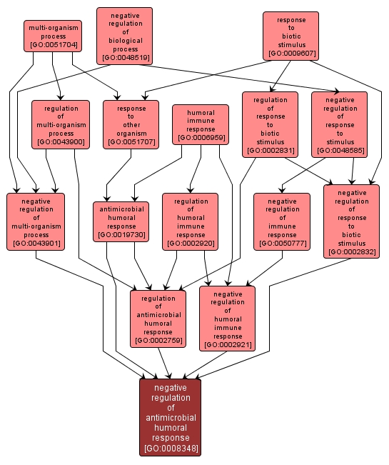 GO:0008348 - negative regulation of antimicrobial humoral response (interactive image map)