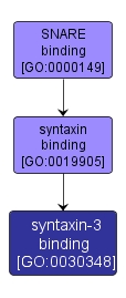GO:0030348 - syntaxin-3 binding (interactive image map)