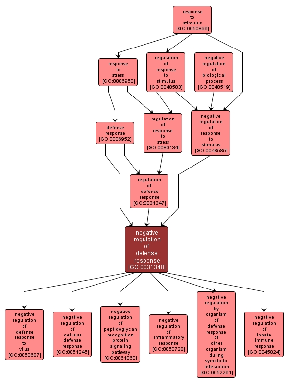 GO:0031348 - negative regulation of defense response (interactive image map)