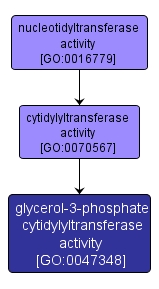 GO:0047348 - glycerol-3-phosphate cytidylyltransferase activity (interactive image map)