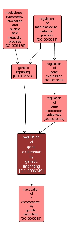 GO:0006349 - regulation of gene expression by genetic imprinting (interactive image map)