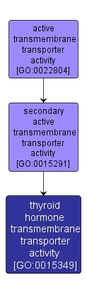 GO:0015349 - thyroid hormone transmembrane transporter activity (interactive image map)