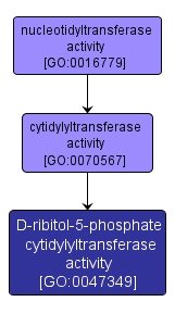 GO:0047349 - D-ribitol-5-phosphate cytidylyltransferase activity (interactive image map)