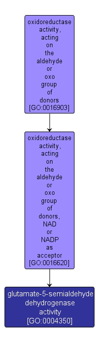 GO:0004350 - glutamate-5-semialdehyde dehydrogenase activity (interactive image map)