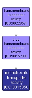 GO:0015350 - methotrexate transporter activity (interactive image map)