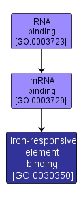 GO:0030350 - iron-responsive element binding (interactive image map)