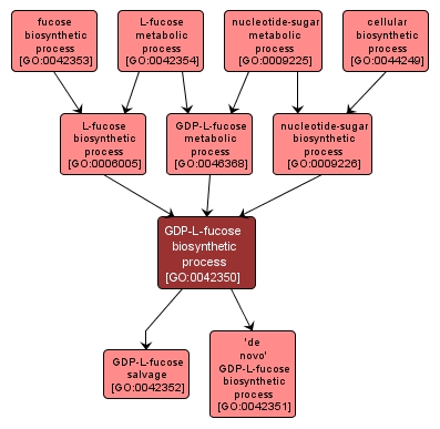 GO:0042350 - GDP-L-fucose biosynthetic process (interactive image map)