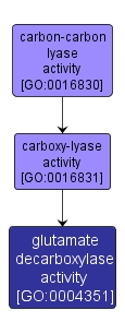 GO:0004351 - glutamate decarboxylase activity (interactive image map)