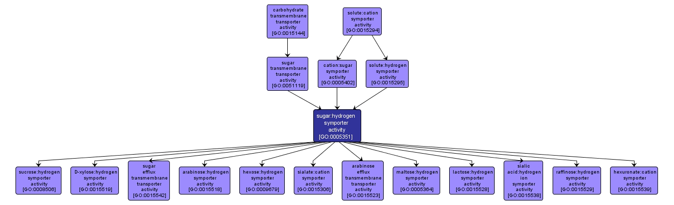 GO:0005351 - sugar:hydrogen symporter activity (interactive image map)