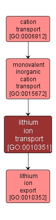 GO:0010351 - lithium ion transport (interactive image map)