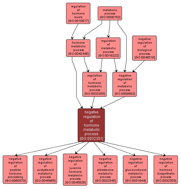 GO:0032351 - negative regulation of hormone metabolic process (interactive image map)