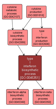 GO:0045351 - type I interferon biosynthetic process (interactive image map)