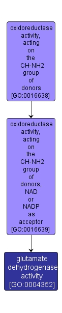 GO:0004352 - glutamate dehydrogenase activity (interactive image map)