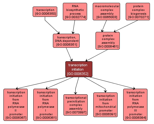 GO:0006352 - transcription initiation (interactive image map)