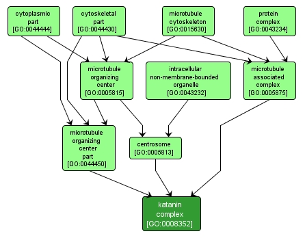 GO:0008352 - katanin complex (interactive image map)