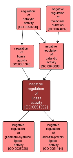 GO:0051352 - negative regulation of ligase activity (interactive image map)