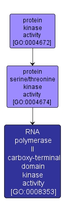 GO:0008353 - RNA polymerase II carboxy-terminal domain kinase activity (interactive image map)