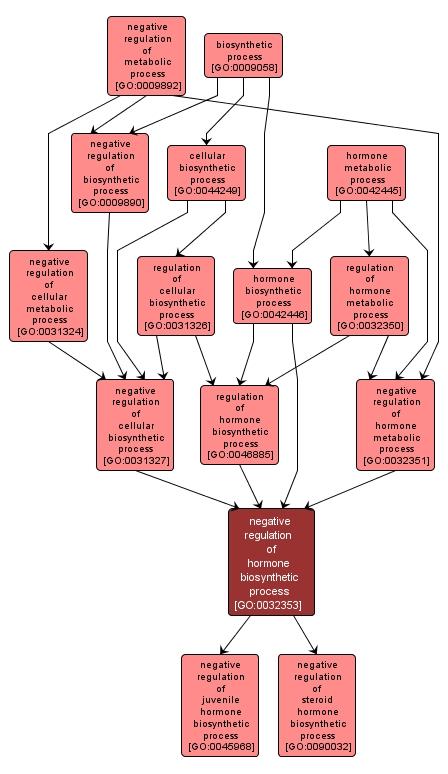 GO:0032353 - negative regulation of hormone biosynthetic process (interactive image map)