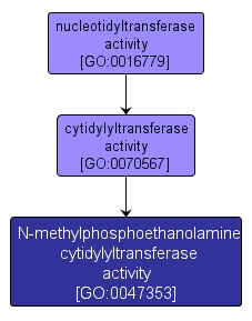 GO:0047353 - N-methylphosphoethanolamine cytidylyltransferase activity (interactive image map)