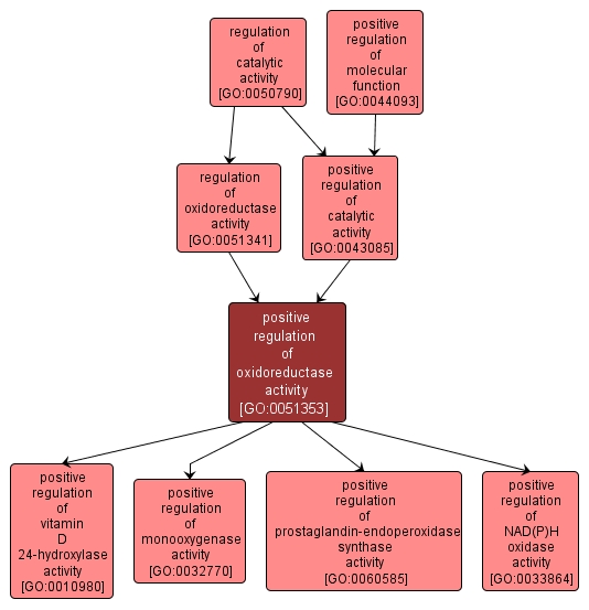 GO:0051353 - positive regulation of oxidoreductase activity (interactive image map)