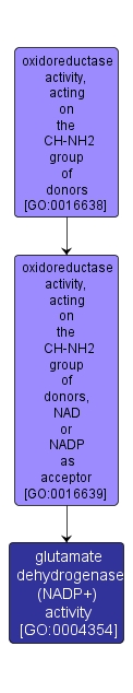 GO:0004354 - glutamate dehydrogenase (NADP+) activity (interactive image map)