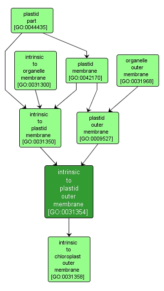 GO:0031354 - intrinsic to plastid outer membrane (interactive image map)