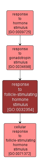 GO:0032354 - response to follicle-stimulating hormone stimulus (interactive image map)