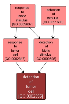 GO:0002355 - detection of tumor cell (interactive image map)