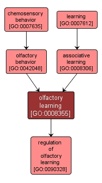 GO:0008355 - olfactory learning (interactive image map)