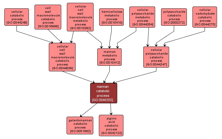 GO:0046355 - mannan catabolic process (interactive image map)