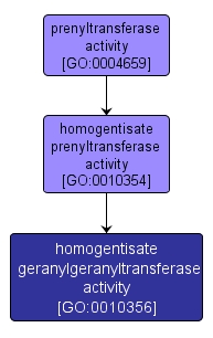GO:0010356 - homogentisate geranylgeranyltransferase activity (interactive image map)