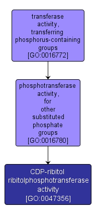 GO:0047356 - CDP-ribitol ribitolphosphotransferase activity (interactive image map)