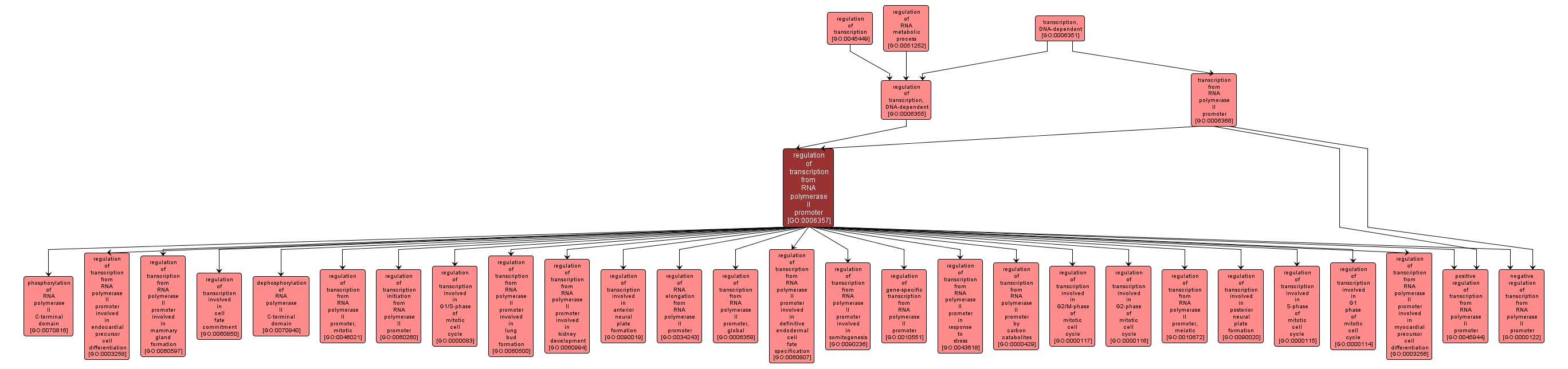 GO:0006357 - regulation of transcription from RNA polymerase II promoter (interactive image map)