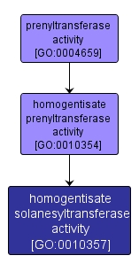GO:0010357 - homogentisate solanesyltransferase activity (interactive image map)
