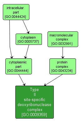 GO:0009359 - Type II site-specific deoxyribonuclease complex (interactive image map)