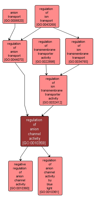 GO:0010359 - regulation of anion channel activity (interactive image map)