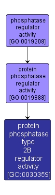 GO:0030359 - protein phosphatase type 2B regulator activity (interactive image map)